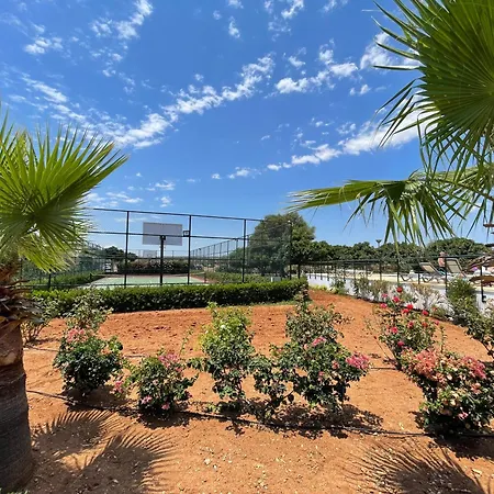 Sweetness By The Sea