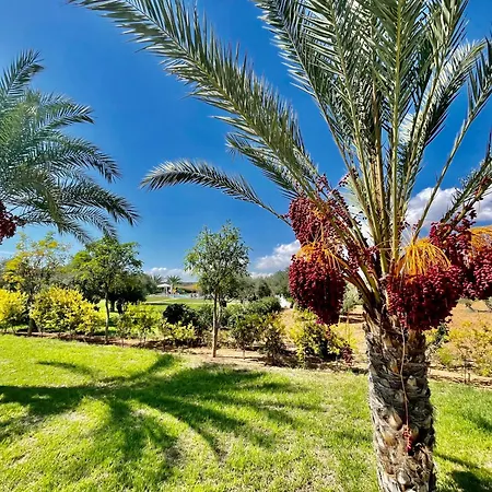 Sweetness By The Sea * Vokolidha