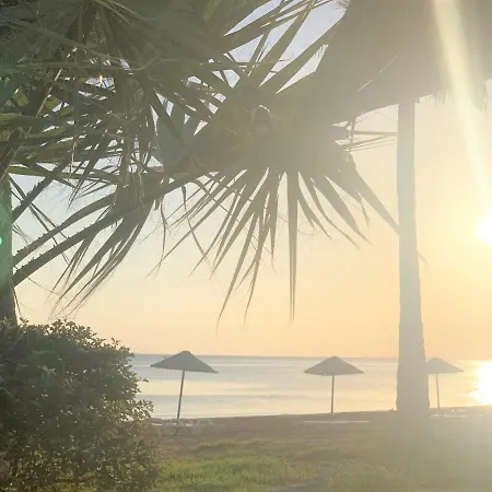 Sweetness By The Sea Vokolidha