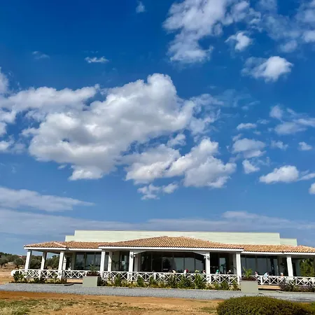 Sweetness By The Sea * Vokolidha