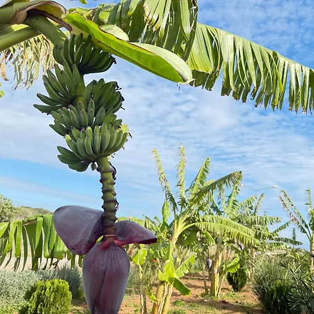 Sweetness By The Sea Appartamento *