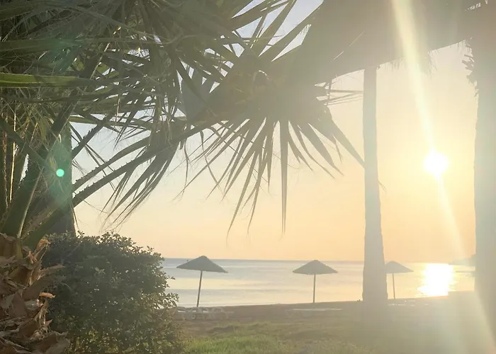 Sweetness By The Sea Vokolidha