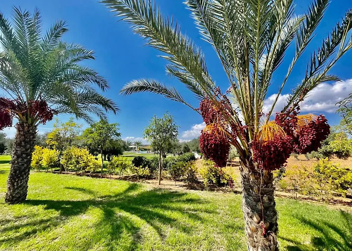 Sweetness By The Sea * Vokolidha