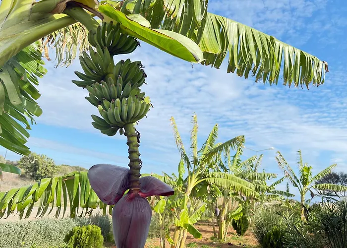 Sweetness By The Sea Apartmán *